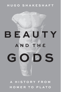 Beauty and the gods : a history from Homer to Plato