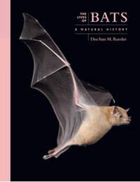 The lives of bats: a natural history