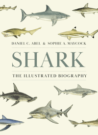 Shark : the illustrated biography