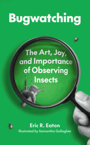 Bugwatching: the art, joy, and importance of observing insects