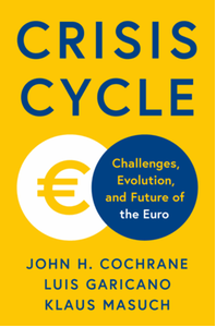 Crisis cycle: challenges, evolution, and future of the Euro