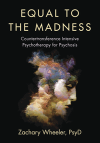 Equal to the madness : countertransference intensive psychotherapy for psychosis