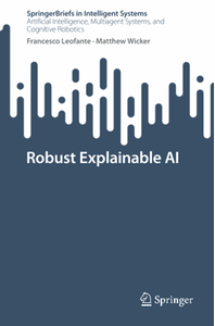 Robust Explainable AI
