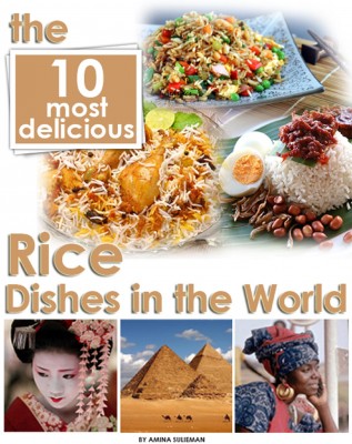 The 10 Most Delicious Rice Dishes in the World by Amina 