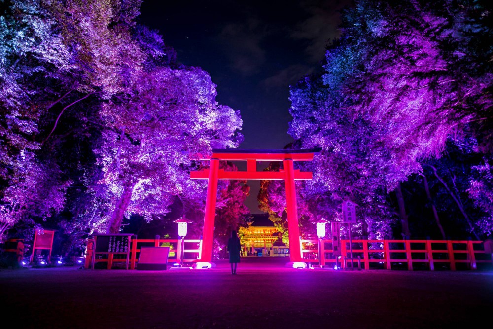 迷幻灯光x古老神社～teamlab期间限定神秘绝美光祭典
