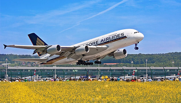 singapore airlines narrows down