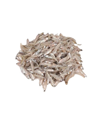 Buy Kachki (কাচঁকি ) Fish Online at Best Price