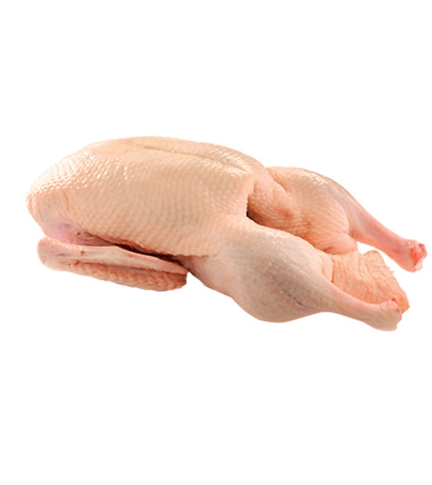 Buy Raajhash 1.5-2 Kg Per Pcs Online