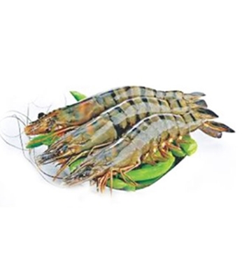 Buy bagda-prawn-1kg online