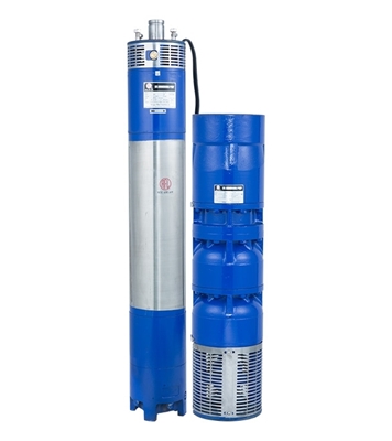 Buy RFL 10" Submersible Pump 200RIP230-26/1 (3~Phase) online