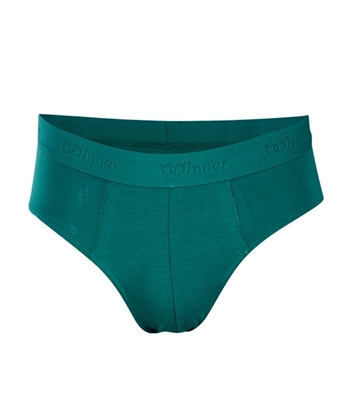 Buy Men's Comforter Boxer Green Online