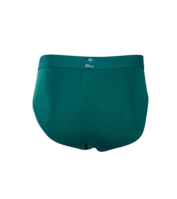 Buy Men's Comforter Boxer Green Online