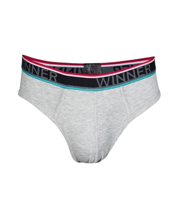 Buy Men's Luxury Brief W0005  Online