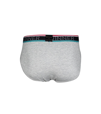 Buy Men's Luxury Brief W0005  Online