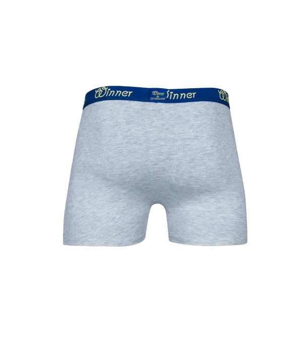 Buy Men's Deluxe Boxer Grey Melange Online