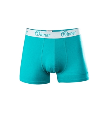 Buy Men's Classic Boxer Turquois W0011 Online