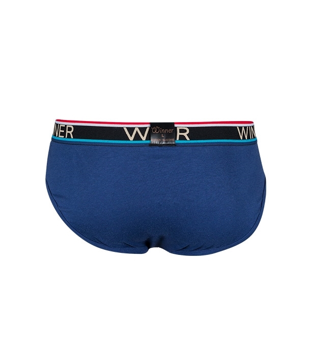 Buy Men's Luxury Brief W0005 Navy Online at Best Price