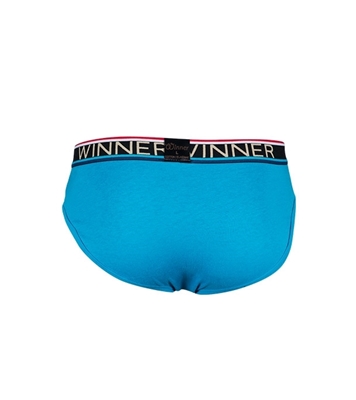 Buy Men's Luxury Brief W0005 Blue Online at Best Price