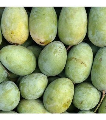 Buy Garden Fresh Langra Mango Online