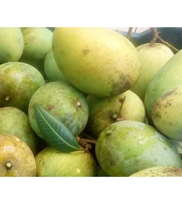 Buy Garden Fresh Harivanga 10kg Online