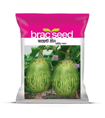 Buy Brinjal  Gaint Green 5gm Hybrid Online