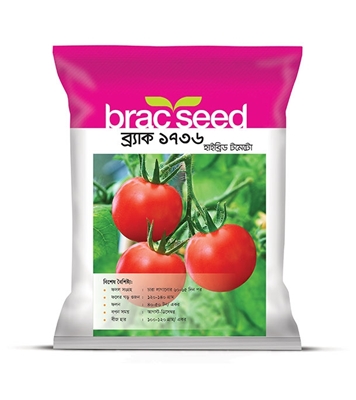 Buy Tomato Brac1736 2gm Hybrid Online