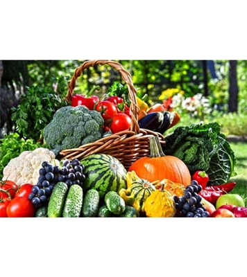 Buy Vegetable Combo Package 26 Types Of Vegetable Seeds Together Mix Packet Online