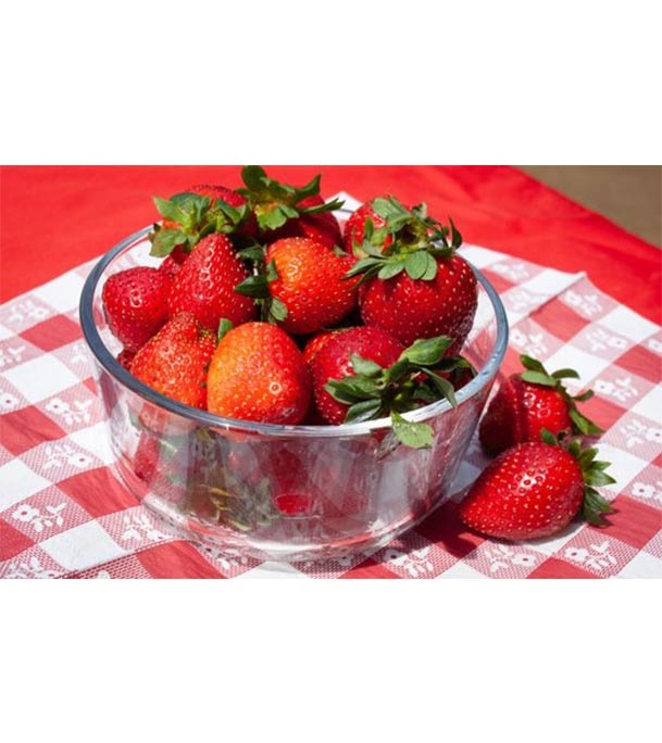 Buy Strawberry Fruit seed 40 Pcs Online