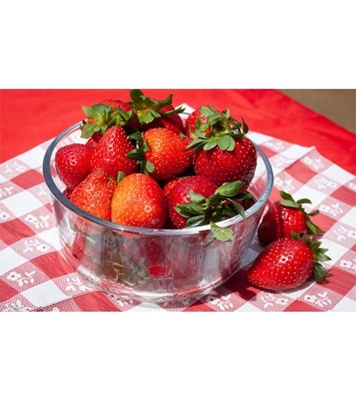 Buy Strawberry Fruit seed 40 Pcs Online