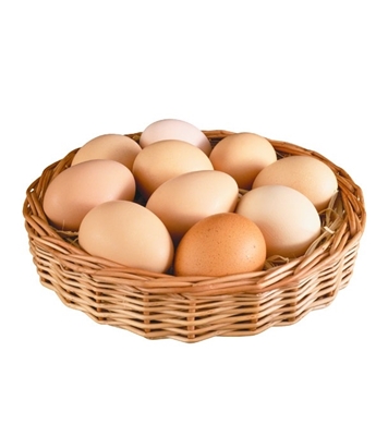 Buy Farm Egg 30pcs Combo Online