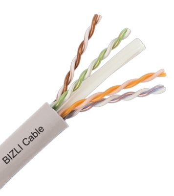 Buy Bizli LAN Cable CAT-5 24 AWG (0.5 mm) Online at Best Price