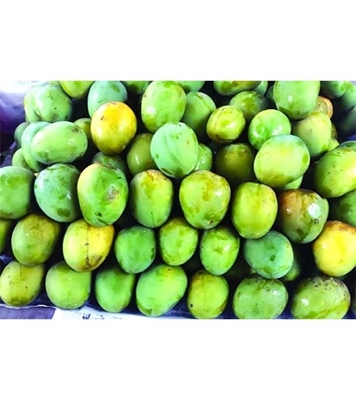 Buy Garden Fresh Himshagor Mango 5 kg Online