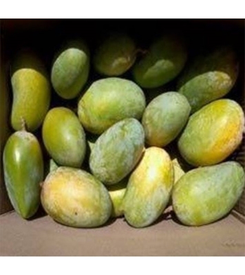Buy Garden Fresh Amropali Mango 5 kg Online