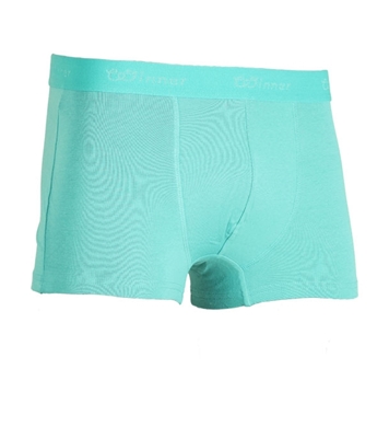 Buy Men's Comforter Boxer Turquoise Online