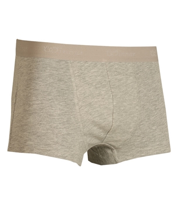 Buy Men's Comforter Boxer Gray Melange Online