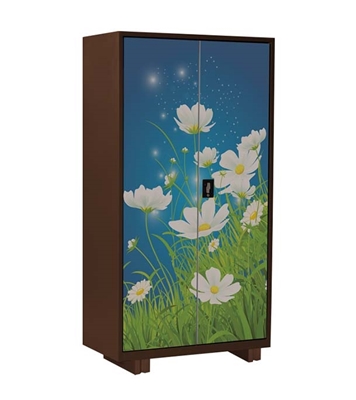 Buy Regal Household Metal Almirah Multi Color Online 