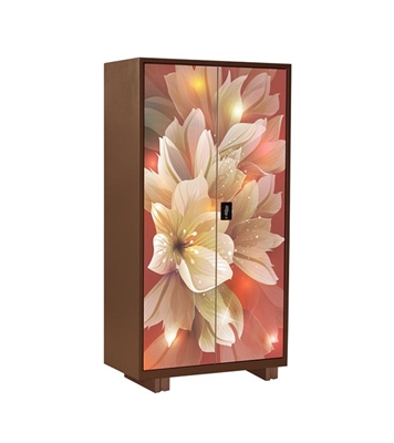 Buy Regal Household Metal Almirah Multi Color Online 