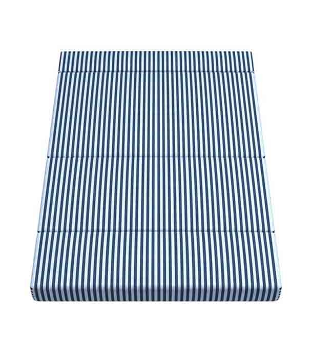 Buy Regal Foam Sofa Cum Bed (Semi Double) Online 