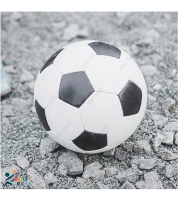 Buy Non Stitched PU Material High Quality DEER Football Online