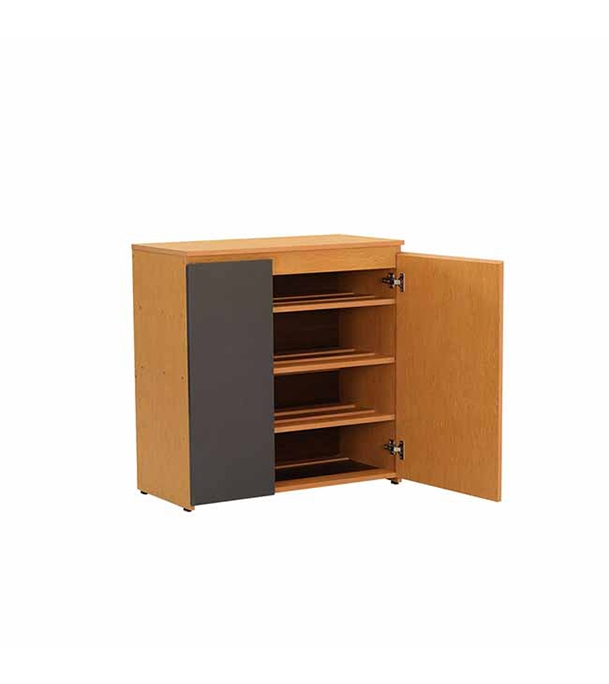 Buy Regal Laminated Board Shoe Rack Online at Best Price