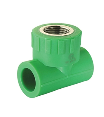 Buy RFL PP-R Female Thread Tee Online