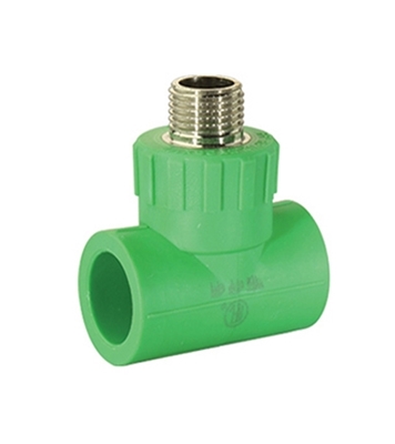 Buy RFL PP-R Male Thread Tee Online