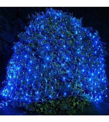 Buy Fairy Light Online at Best Price