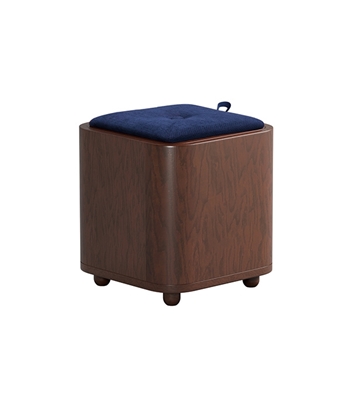 Buy Smart Stool Cum Storage Online at Best Price