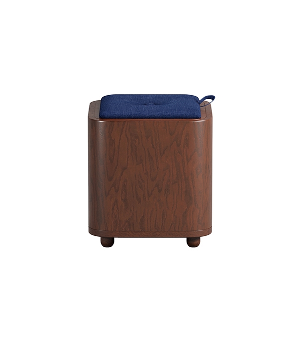 Buy Smart Stool Cum Storage Online at Best Price