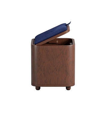 Buy Smart Stool Cum Storage Online at Best Price