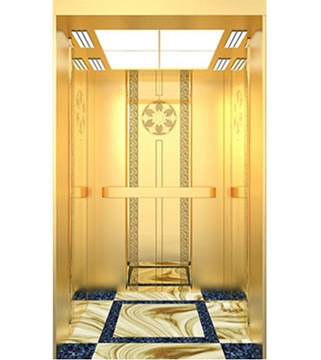 Buy Passenger Lift PL003(G) at Best Price In Bangladesh	