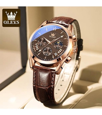 Picture of LEVS 2876 Casual Men Watch Men Wristwatch Luxury Luminous Quartz Watch Business Classic Brown