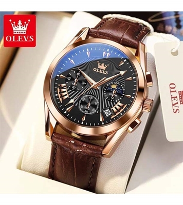 Picture of LEVS 2876 Casual Men Watch Men Wristwatch Luxury Luminous Quartz Watch Business Classic Brown