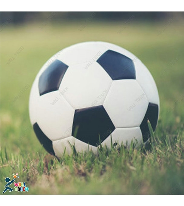 Picture of Non Stitched PU Material High Quality DEER Football